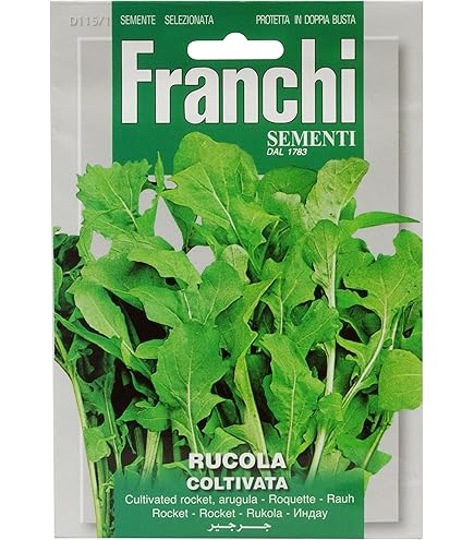 ＊ルッコラページ＊ 香味菜】「チンゲンルッコラ 128穴セル苗」【受注生産：受注より